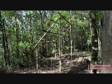 ホモと学ぶ寝床づくり.Bed_Shed
