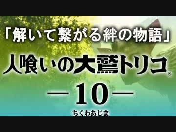 【人喰いの大鷲トリコ】解いて繋がる絆の物語 10