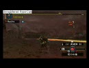 【MHP2G】真ラージャン　火事場　ヘビィソロ編