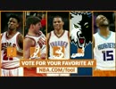 【NBA珍プレイ】Shaqtin' A Fool 2016-2017 season No.10