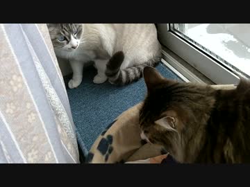 遂にココとご対面～