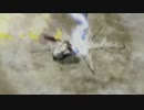 SvG Fight