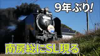 【SL館山】南房総で9年ぶり SL現る＠館山～勝浦で運転【DL勝浦】