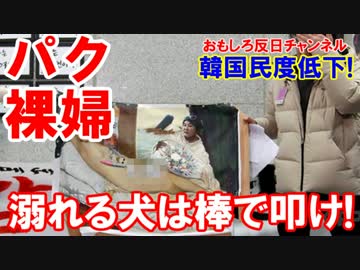 【韓国民度低下で大混乱】 溺れる犬は棒で叩いて叩いて叩くんだ！