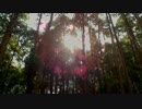外配信中でも映像にエフェクトかけて楽しめれば＾＾