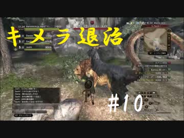 [実況]念願のオンラインへ。ドラゴンズドグマオンライン実況プレイPart10