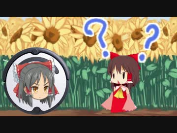 猫乗せるやつ☆