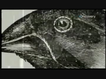 モーガソと宇宙 S6　「生きることの意味」