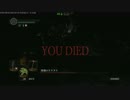 SL1カンストマヌス赤涙