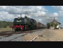 ガーラット式蒸気機関車　AD 6029