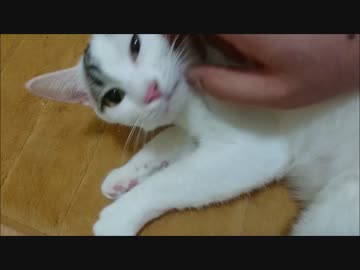 ヤンチャな娘が急におとなしくなり身をゆだねてくれるそんなひととき