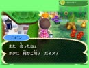 とびだせどうぶつの森でのんびりスローライフ　177日目