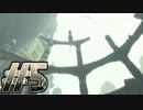 【実況】”少年”と”巨獣”の絆の物語 Part5【人喰いの大鷲トリコ】