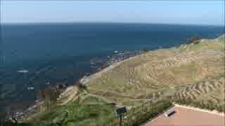 業務用カムコーダー　SONY NXCAM 　HXR-NX3　撮影テスト