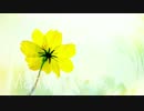 【NNI】Mary【オリジナル曲】