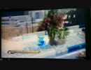 ソニワド ホワイトアイランド ACT1昼