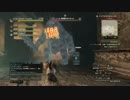 【DDON】バートランド平原 試練：ほの暗き調査任務