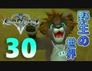 【KH2】光の心と闇の抜け殻【キングダムハーツⅡ】#30