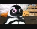 東山奈央ソロデビュー記念特番～虹のはじまりのはじまり～ (3／3)