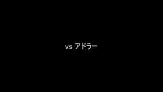アドラー対策【エヌアイン完全世界】