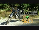 KLX125 デ りんどう