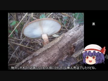 ゆっくり農民49プロ農民になってみませんか？