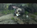 【人喰いの大鷲トリコ】鷲と少年の物語31