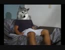 犬なのにインタビューを受ける先輩