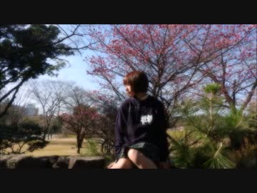 【かぽり】 今好きになる。 【踊ってみた】