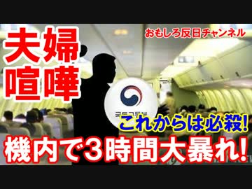 【韓国夫婦が機内で３時間大暴れ】 機内でやるなよアホちゃうか！