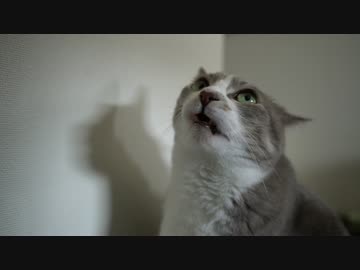 【モアクリ】 いろいろモアクリ 2