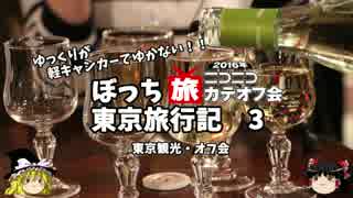 【ゆっくり】東京旅行記　３　旅カテオフ会　１次２次３次会