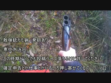 【銃猟】発砲　寒中水泳からドザエモン手前　新米猟師ﾊﾝﾀｰ14　