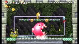 【New スーパーマリオブラザーズWii】元上司と他人と私【三人で実況】part11