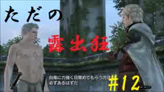[実況]念願のオンラインへ。ドラゴンズドグマオンライン実況プレイPart12