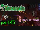 【Terraria】ハードコアでterraria最強完璧を目指す　～part45～