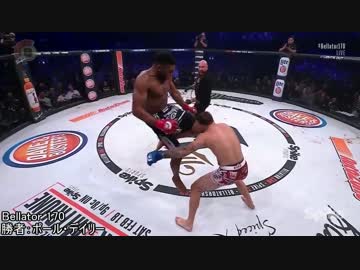 【格闘技】2017年1月度MMAベストノックアウト【KO】