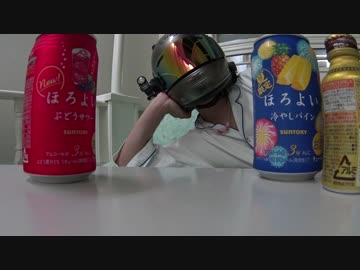 ＣＢＲ２５０Ｒでゆっくり沼津に行くよ　その３