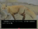 《無色実況》「記憶の欠片」後編