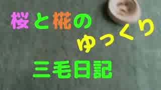 [ゆっくり猫動画]　12　さすらう桜さん