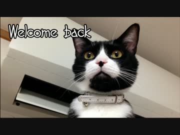 ジルと俺の釣り物語part.1