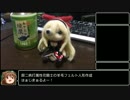 【花騎士】羊毛フェルトでアイビー人形を作ってみる【ゆっくり解説】