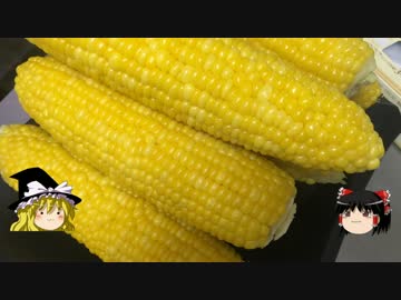 【ゆっくり】チキンの旅日誌　夏の青森グルメ旅行④　岩木山編