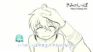 【初音ミク】きみのしっぽ【オリジナル曲】