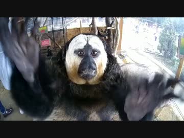 【XJ6】ちょっと日本一周行ってくる・13日目【北海道】