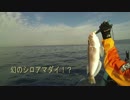 2017初カヤックフィッシングで幻の魚ゲット