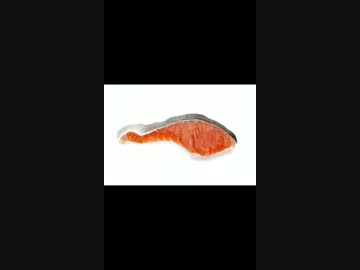 【歌ってみた】 X JAPAN/紅 【ﾀﾗﾁｵ】