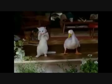 ｱﾌﾗｯｸcm 宮崎あおい まねきねこダック 全17本 ニコニコ動画