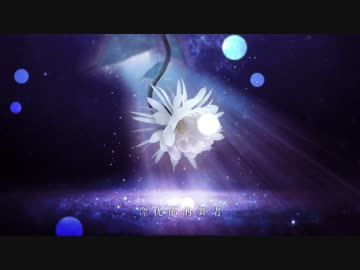 【時之歌Project】【特别曲】夜昙【冥月】