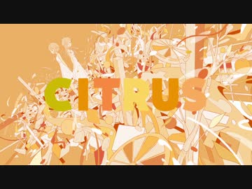 【雑貨屋が歌う】CITRUS【有印良品】